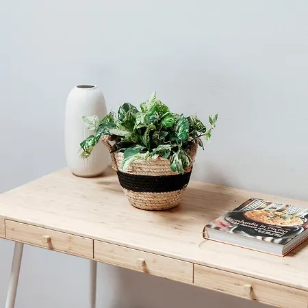 Serendipity- By Myhomeincomo レンノ